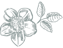 at The Molescroft Inn in Beverley